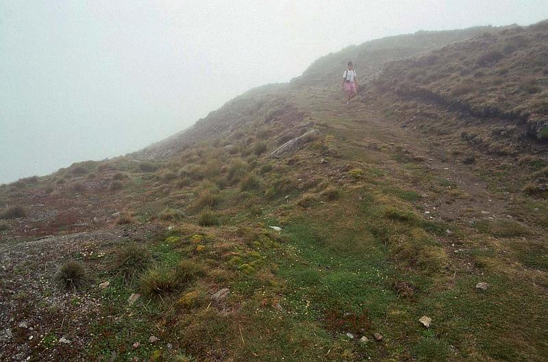 WT 0200 047-21 New Zealand.jpg